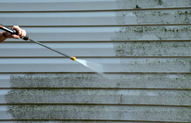 Best Pressure Washing Driveway  in Aitkin, MN